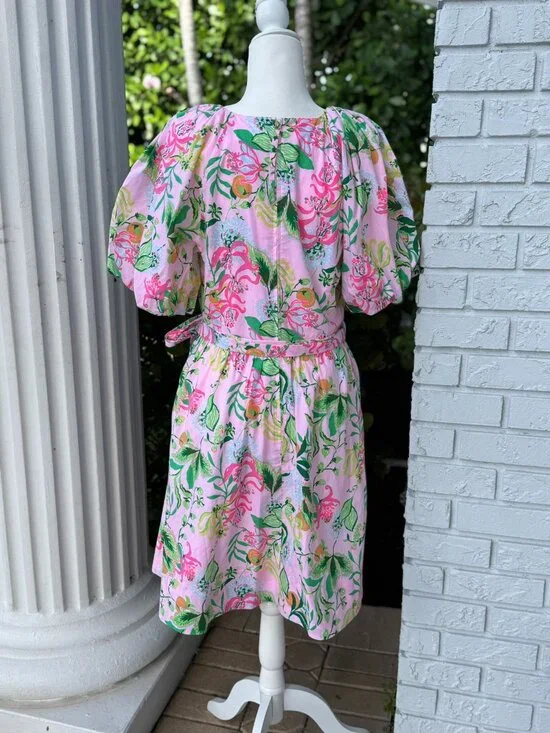 NWT Lilly Pulitzer Knoxlie Elbow Sleeve Dress Size 14 - Picture 3 of 5